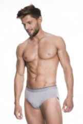 Apatinės kelnaitės Iron Briefs Pilka